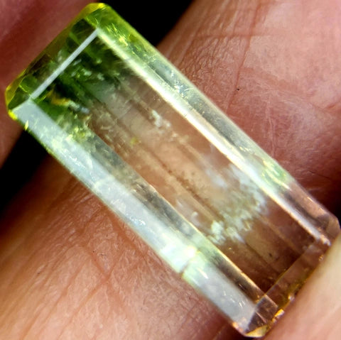 3 cts WATERMELON Tourmaline PG-4470 Preciousgems