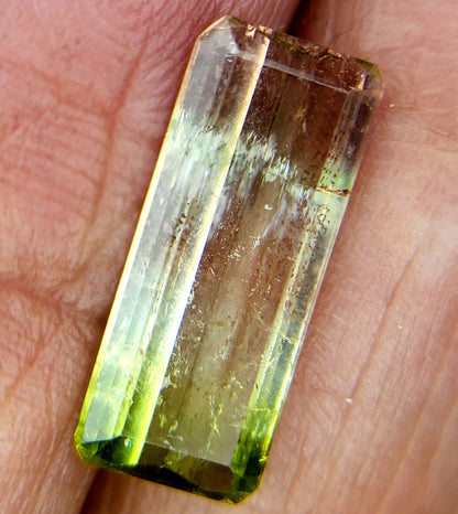 3 cts WATERMELON Tourmaline PG-4470 Preciousgems