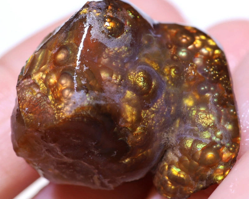 47.29 carats Fire Agate Rough