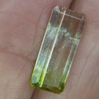 3 cts WATERMELON Tourmaline PG-4470 Preciousgems